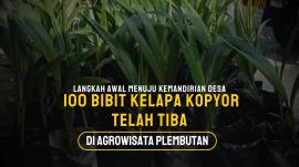 100 Bibit Kelapa Kopyor Tiba di Lokasi Rintisan Agrowisata Plembutan